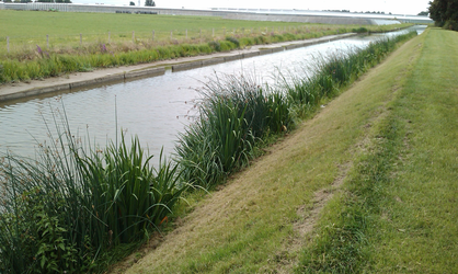 2529 projecten in Hoek van Holland, 2008-2010